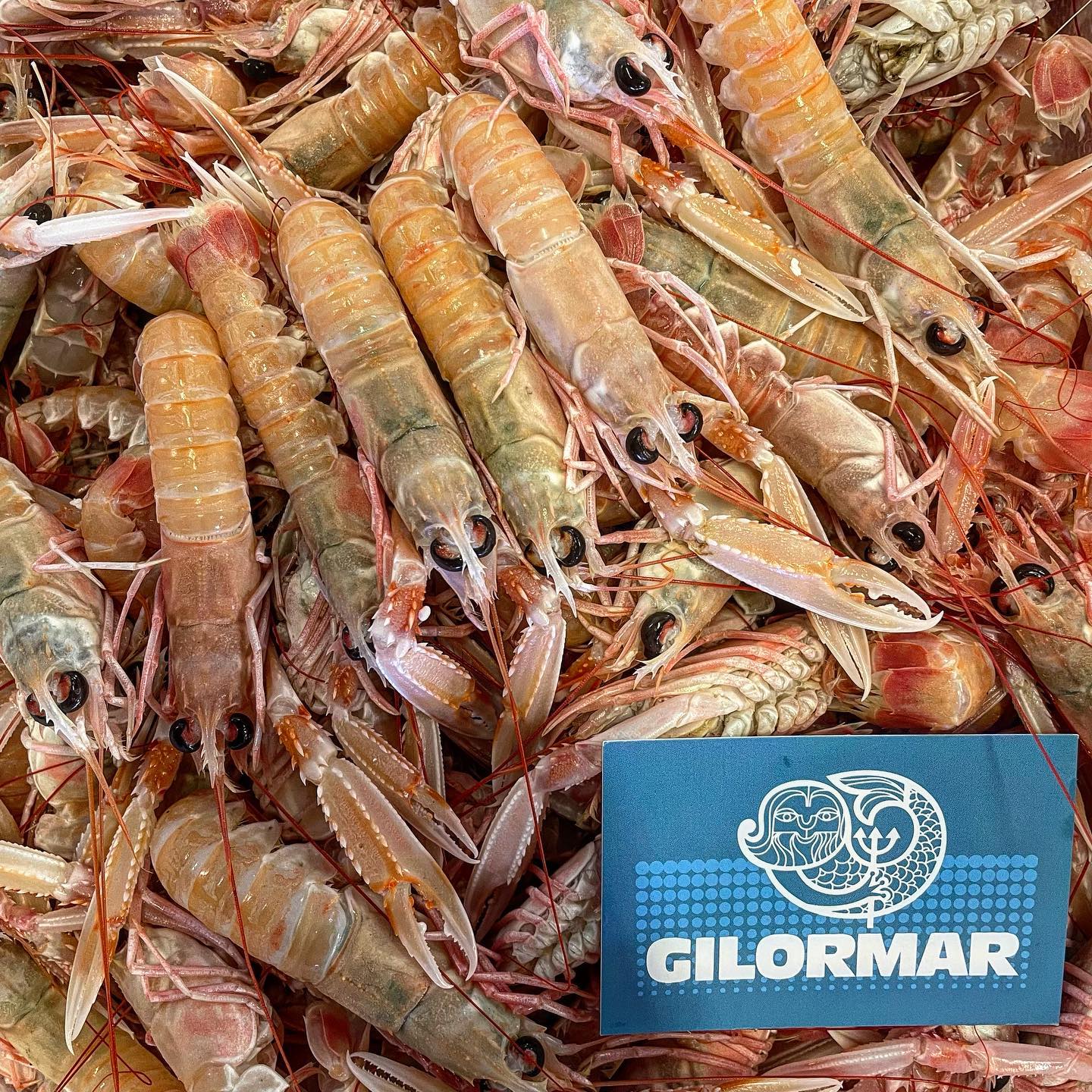 Scampi dell'Adriatico